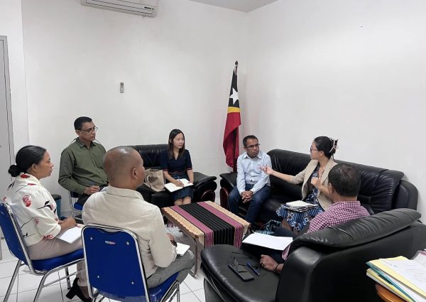 Prosesu elaborasaun Planu Asaun Nasional (PAN)